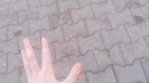 Влог БАСИКА