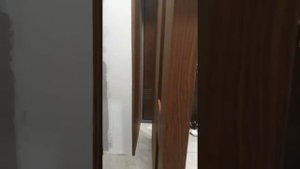 Дверь ,зеркало из ореха .американский орех