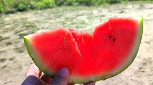 Сентябрь.Пляжный сезон.Астраханские арбузы