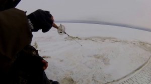 Открытие зимнего сезона ловли на Рыбинке.Часть 2