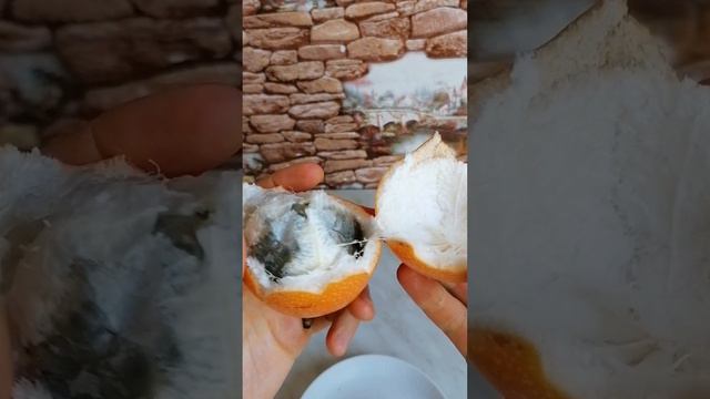 Гранадилла - сладкий родственник маракуйи #гранадилла #маракуйя #фрукторианство #сыроедение #веган