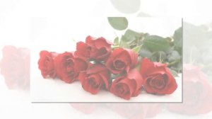 Красивые фотографии природы и цветов