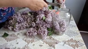 Делаю растирку из сирени.