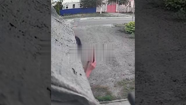Свинорейх атаковал беспилотниками жилые дома и храм в Белгородской области🇷🇺