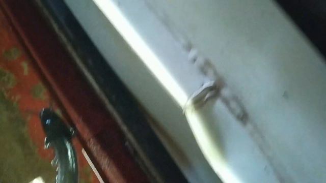 Сомовая ферма в поселке Беседа, Волосовского района