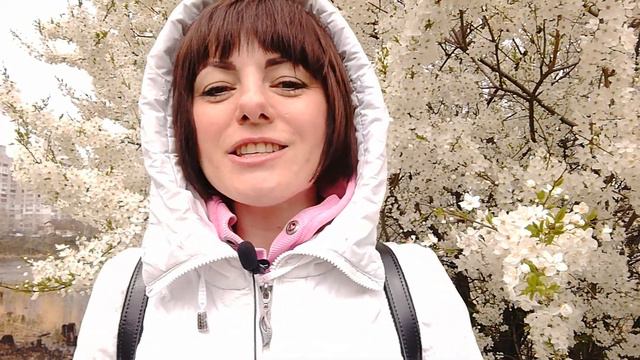 Цифры 3 в Вашем Денежном Коде #3вденедномкоде #рожденска #потокизобилия