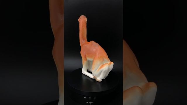 Статуэтка «Верблюжонок», фарфор, ЛФЗ, СССР, 1970-е гг. смотреть онлайн