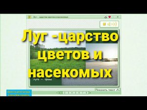 Луг -царство цветов и насекомых