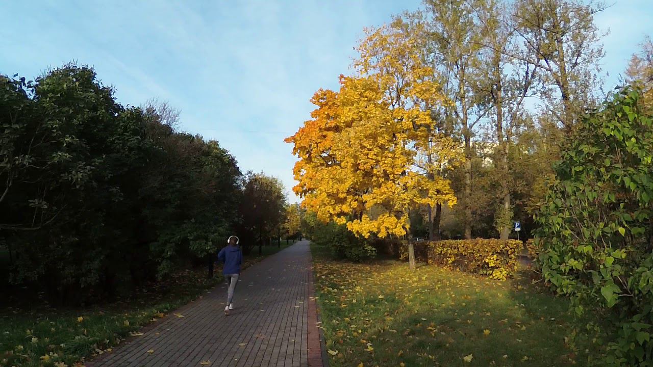 Дмитрий Рябов Осень.