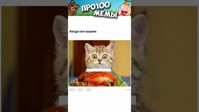 Мемы и приколы с озвучкой #мемы #коты #приколы #shorts #угар #мемыпро100 #коты #