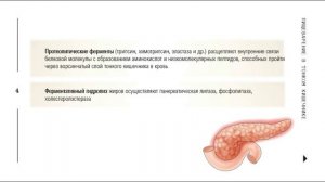 Физиология пищеварения в тонком кишечнике (Нарожняя ОЛД 221)