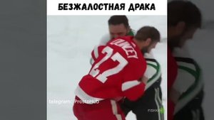 Драка в хоккее