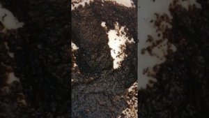 Ануннак и Аллат ра Создатель ответил кто они для нищих.