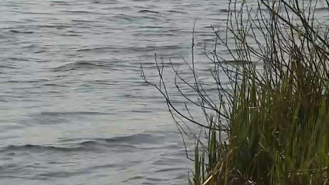 Рыбак Рыбаку 401 "Карась на фидер". смотреть онлайн