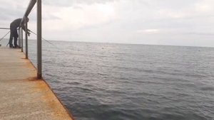Ловля ласкиря на спиннинг. 10 октября 2019г.