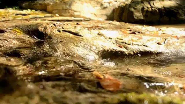 Журчащий ручей - медитация смотреть онлайн