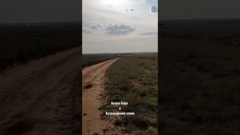 Бугры Бэра в Астраханской степи