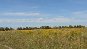 Природа Орловской области. Река Зуша. Мценский район.