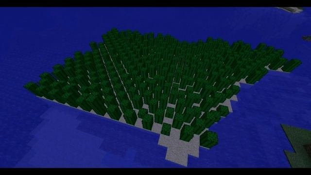 Как растут    Кактусы