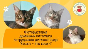 Кошки - это кошки