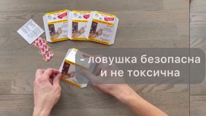Mr Catch клеевая ловушка от одежной моли с феромоном как правильно сложить и где использовать