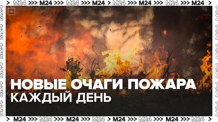 Природные пожары охватили более 50 регионов России - Москва 24