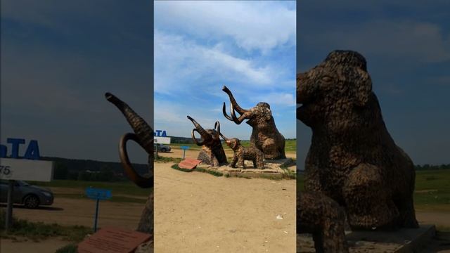 Мамонты в Сибири / #35 Mammoths in Siberia #shorts #googleearth #тайныземли