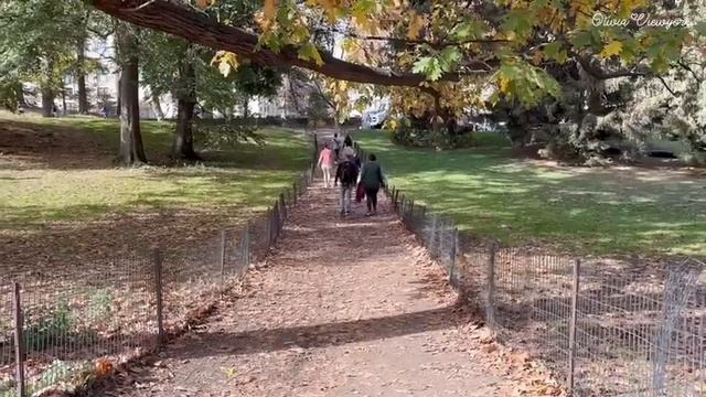 뉴욕 에르메스 신규매장과 팝업카페 갔다가 땡스기빙 상차림 만들고 풍선 퍼레이드 본 미국 일상 브이로그