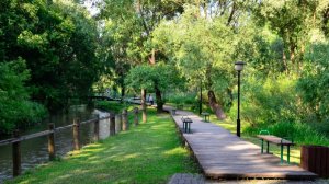 Прогулки по Москве. Прогулка по парку Отрада.