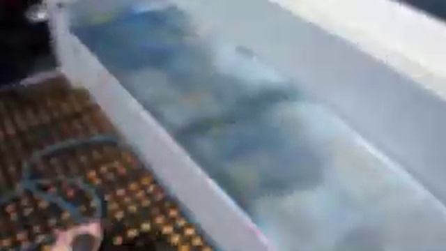 Катание на пятках по воде смотреть онлайн