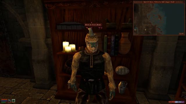 Let's Play Morrowind (Maximum Difficulty) Episode 9 - A Telvanni Spy?!?! смотреть онлайн