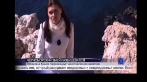 Гигантское Чудовище Черноморский Змей разбушевался в Крыму