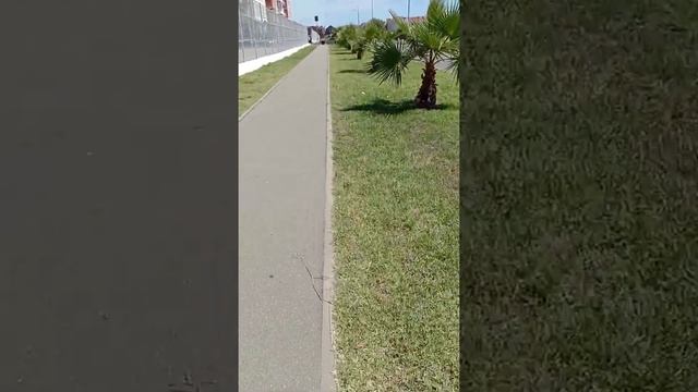 Магазины рядом с Gamma Sirius Park смотреть онлайн