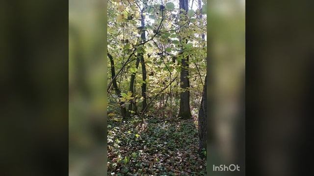 Яркие краски осени!