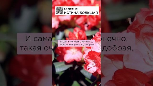Такие песни пробуждают добро! Валентина, г. Ейск #солнечныйпринц #сказочныймир #истинабольшая