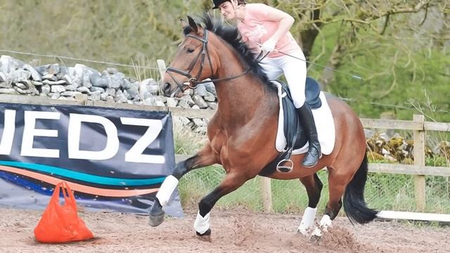 То, Что Они Нашли Внутри Крокодила Шокировало Всех. Самые Глупые Поступки Животных #3 смотреть онлайн