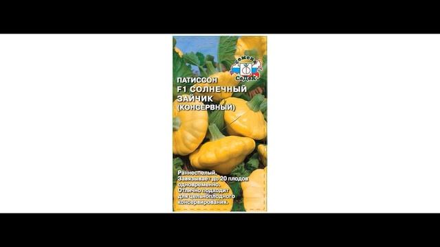 Посев семян в открытый грунт 2021, СОСЕДИ ОБЗАВИДУЮТСЯ!!! смотреть онлайн