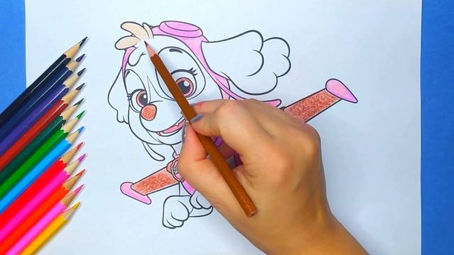 Раскраска Щенячий патруль / Скай / Как раскрасить цветными карандашами смотреть онлайн