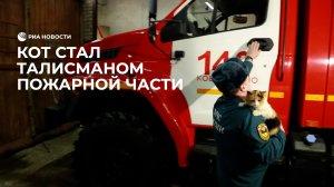 Кот стал талисманом пожарной части
