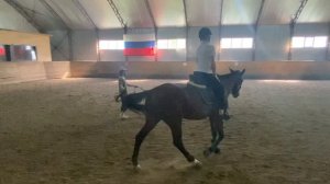 Конный клуб Аристократ / Катания на лошадях в Омске 🐎💨 #kirkat