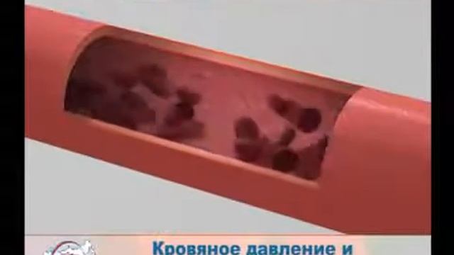 Признаки Повышенного Давления смотреть онлайн