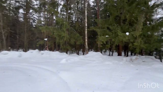 Продается дом д Ямуга СНТ Строитель смотреть онлайн