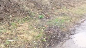 Лазаем по заброшке 2 часть