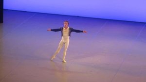 Денис Матвиенко. Вариация Базиля.