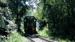 Зеленый тепловоз ТЭМ2 на подъездном пути Ярославского направления