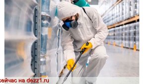 обработка квартиры от клопов цена в Москве