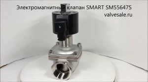 Электромагнитный клапан SMART SM55647S