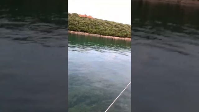 Рыбалка в Хорватии. Fishing in Croatia.