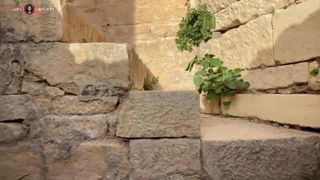 Что нашли в Сахаре?! смотреть онлайн