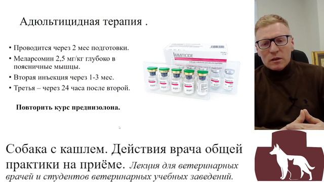 Собака с кашлем . Действия врача общей практики на приёме. Часть вторая. смотреть онлайн